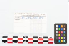 Etikett zu Eisenkonvolut (NHMW-PRAE-094301)